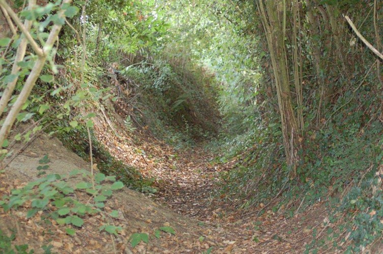 vallee-de-la-sarthe-Notre-Dame-Pé-chemin