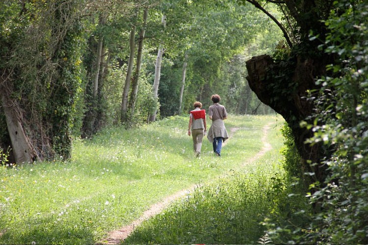 vallee-de-la-sarthe-chemins-Parcé-ITI72