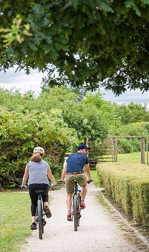 Cyclistes Ile Moulinsart