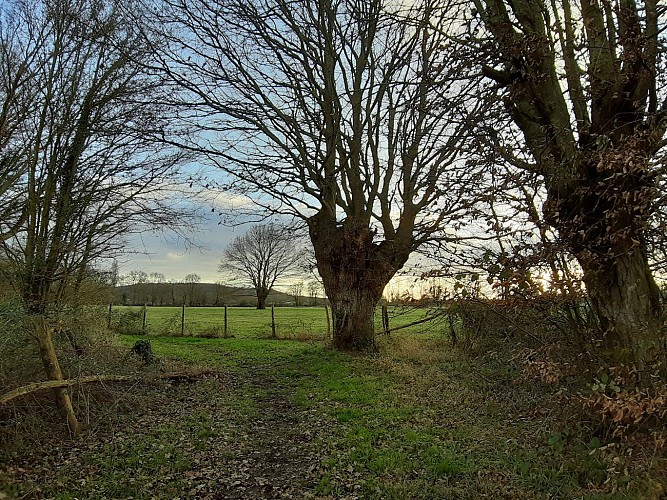 chemin-de-Beaufay-trogne