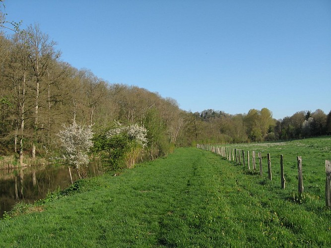 ITIPDL072V502F5X - LIBELLULE