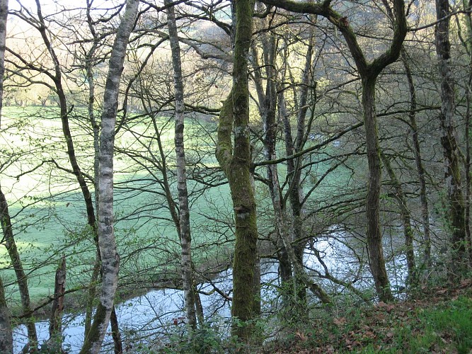 ITIPDL072V502F5X - LIBELLULE3