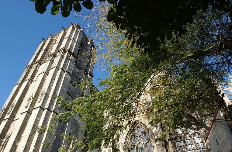 cathédrale le mans l'océane