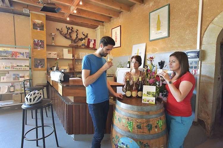 Domaine de Cézin, Marçon