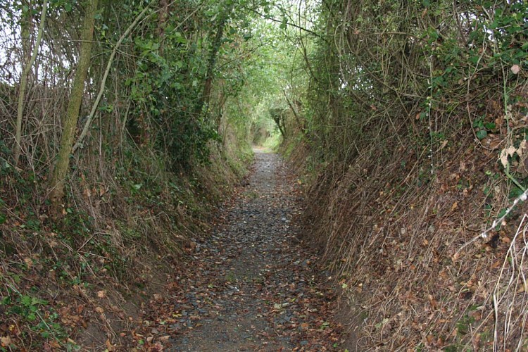 vallee-de-la-sarthe-Fontainesansfond-chemin-creux-ITI72