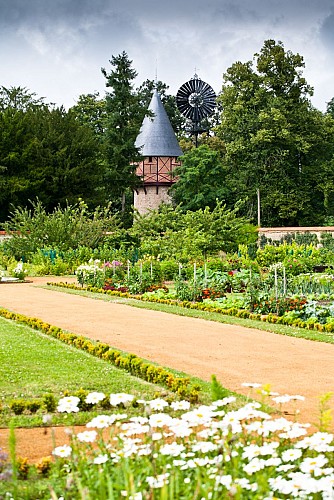 Jardin Potager