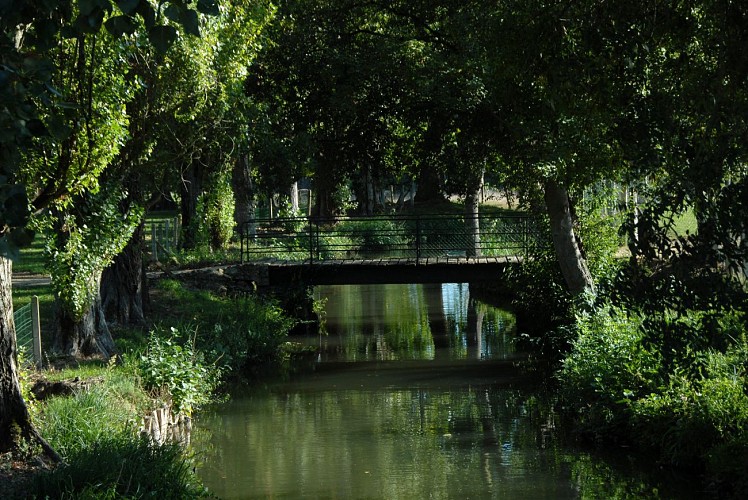 Randonnée pédestre. Dissay sous Courcillon