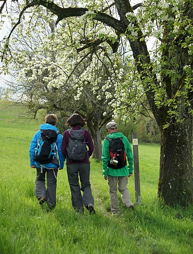 Randonnée pédestre.Chapelle aux Choux