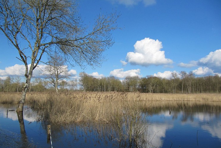 Randonnée pédestre. Bazouges Cré sur Loir