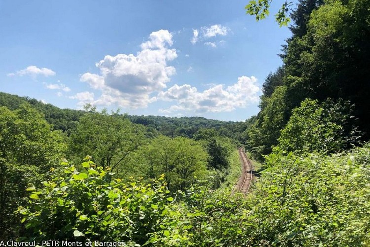 Les gorges de la Vienne