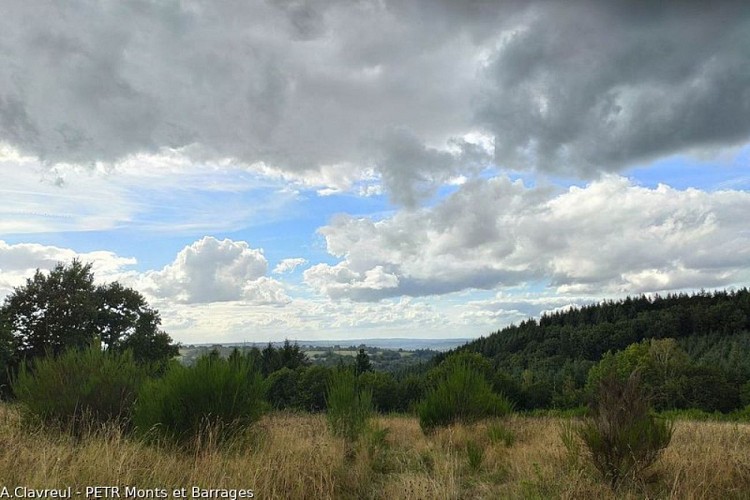 Les gorges de la Vienne