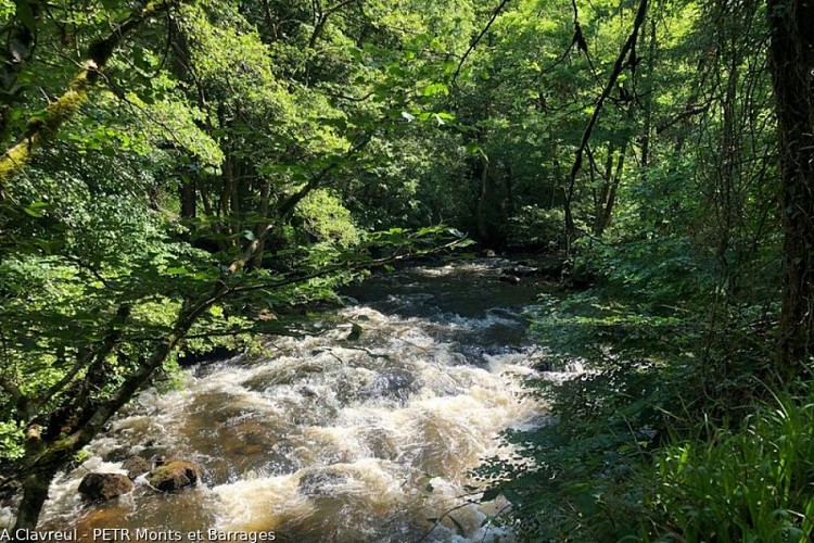 Les gorges de la Vienne