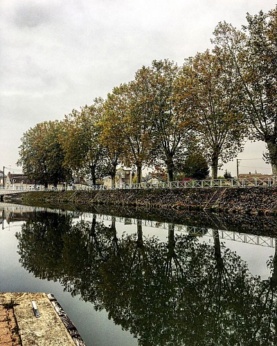 Balade le long du canal de Briare