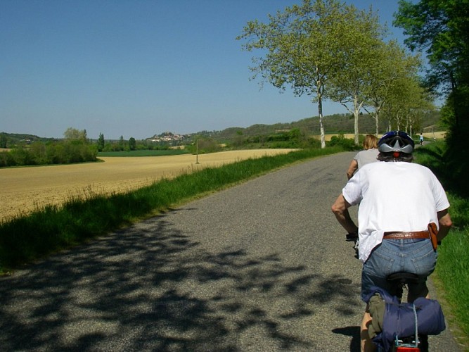 CIRCUIT VÉLO MASSEUBE - MONTMAURIN