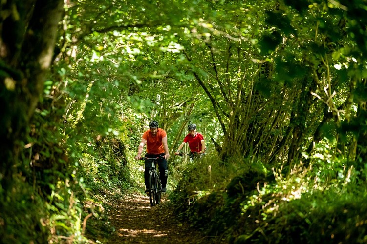 Station VTT n°03 - Circuit du Massif forestier