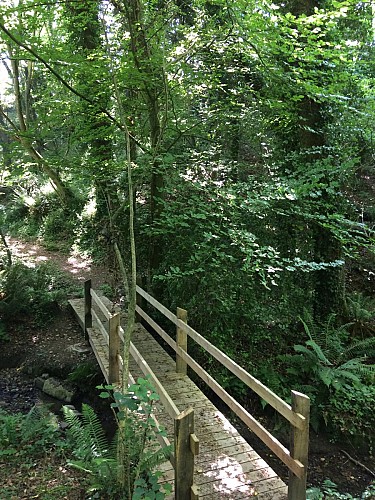 Sentier botanique de Pont-Min - Plourivo