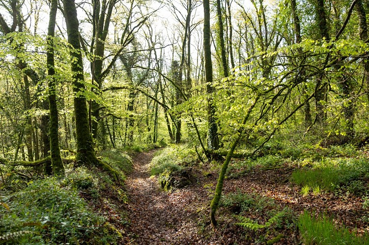 Circuit de randonnée pédestre des vals du Trieux