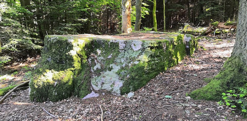 Circuit Géosite des Aiguillettes_Vauxrenard