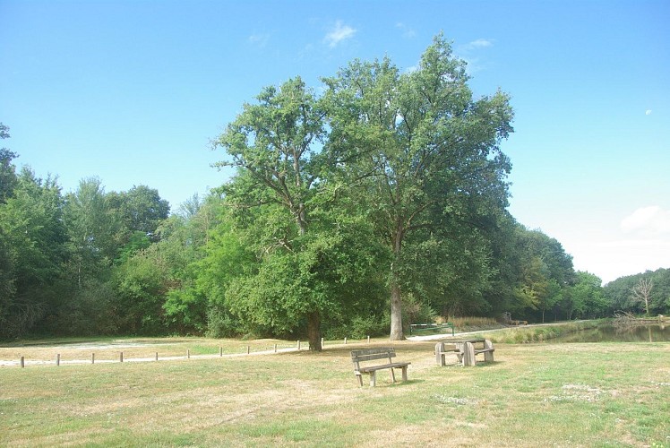 Etang communal