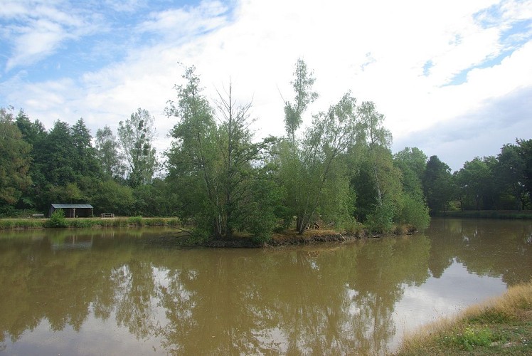Etang communal
