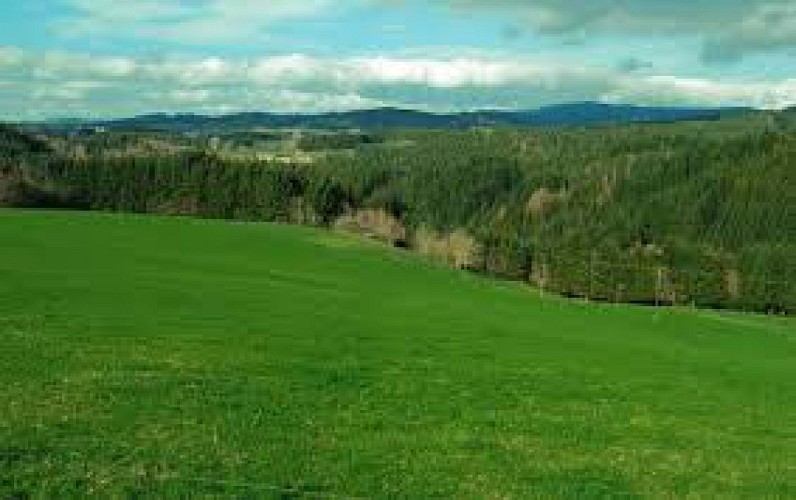 Petite rando autour de Sainte Catherine (Farges, Vernet, le Rodel, Voissière, Farges)