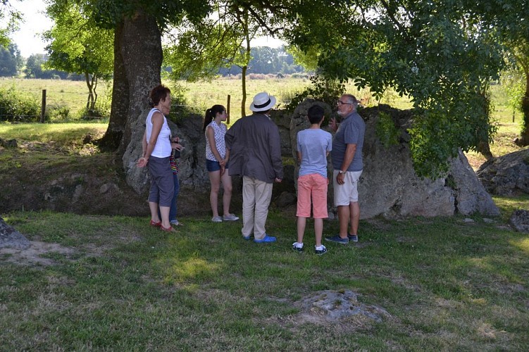 Pierre Cochée à Droué