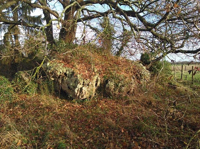 Dolmen à Ruan-sur-Egvonne