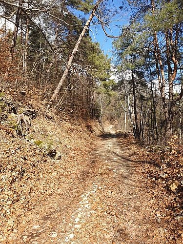Chemin de la Pérouse
