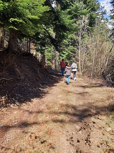 Circuit du Grand Chêne (Grande Boucle)