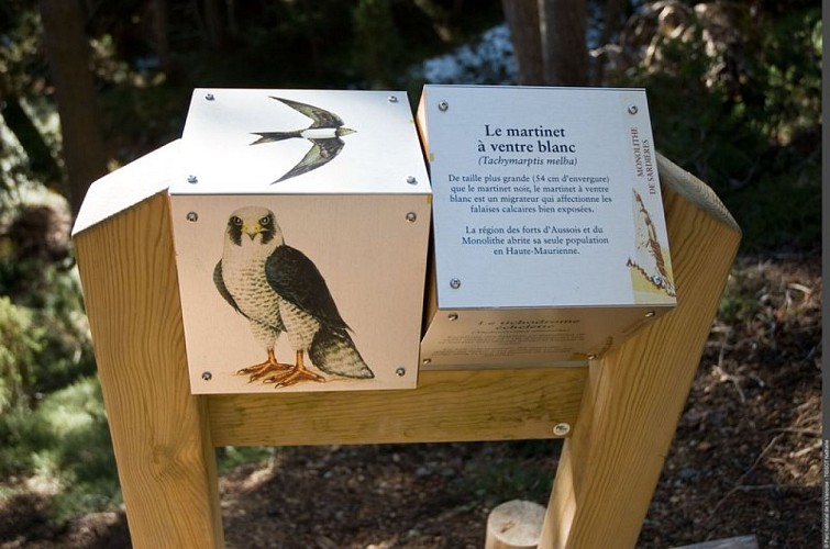Signalisation et jeu de découverte de quelques oiseaux autour du site du Monolithe de Sardières.