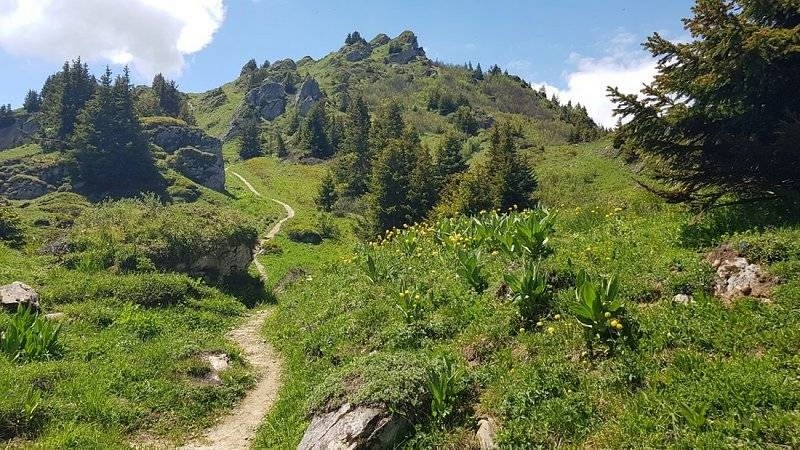 K.-V. de Crève Tête