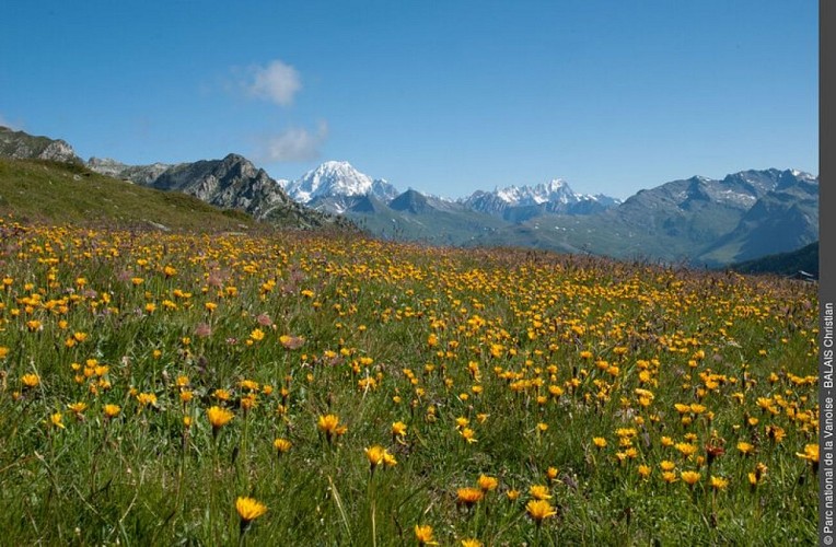 En direction du Col de la Chal