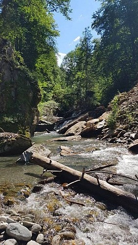 Les passerelles de l'Eau Rousse (B20)