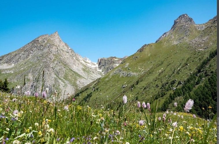 L'aiguille Doran, le vallon de la Masse et les contreforts du Rateau d'Aussois - Céline Rutten PNV