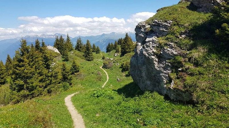 Trail of Crève-Tête