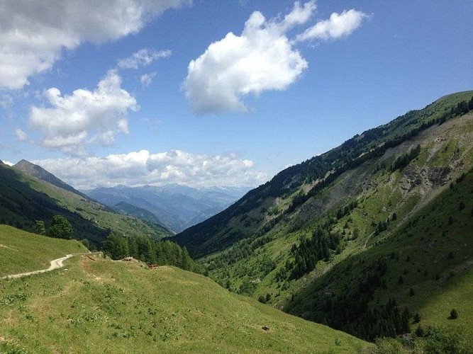 Alpage de la combe SJDB