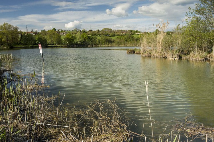 Etang de Gôle