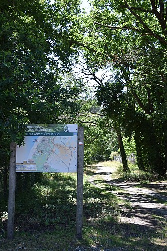 Soulacaise Sud@medoc-atlantique-tourisme_0415