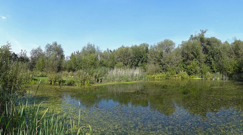 Waremme - "Zone naturelle du Wachnet" - 2km700