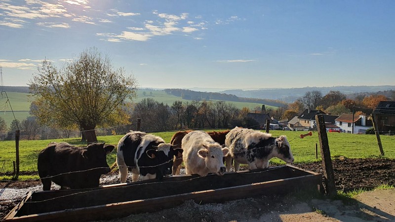 Parcours marche Du village des Cahottes à celui de MonslezLiège