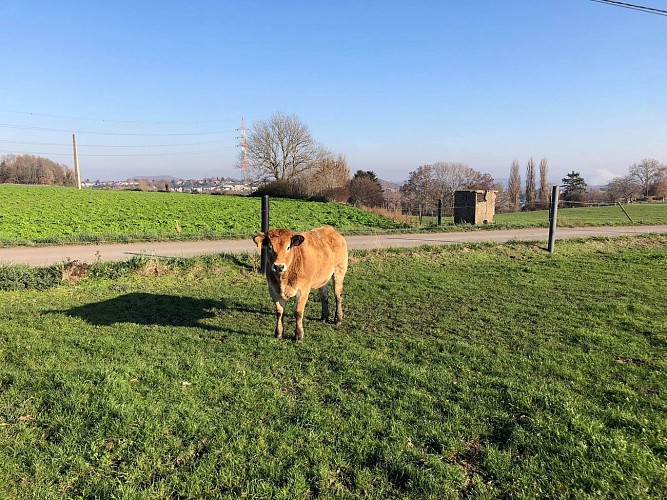 Du village des Cahottes à celui de Mons-lez-Liège