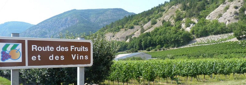 La Route des Fruits et des Vins - Hautes-Alpes