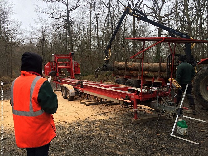 Le sentier des Contes à la Comté
