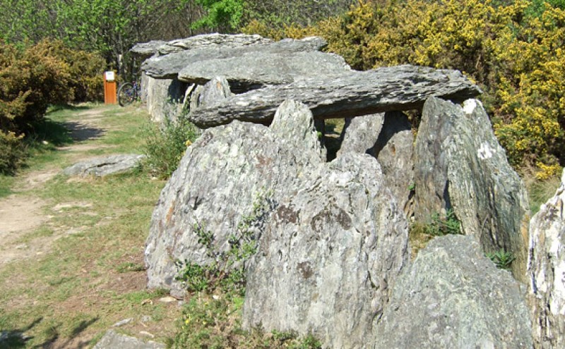 Site mégalithique de Tréhal Saint Just