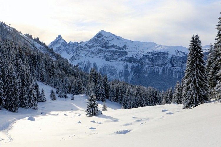 Itinéraire raquettes/pédestre : Boucle des Molliets