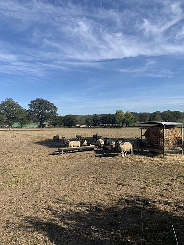 Circuit à la découverte des Châteaux_Audes