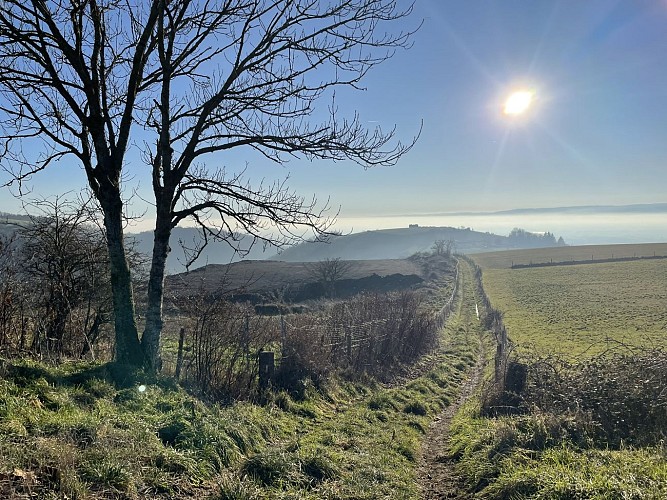 Sentier La Montagne par les Granges_Bellegarde-en-Forez