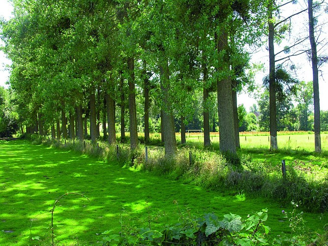 Route des Blés d'or : Les horizons perdus