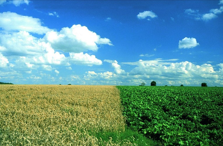 Route des Blés d'or : Les horizons perdus