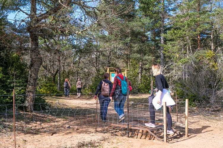 Sur le chemin qui mène aux Canoles...
